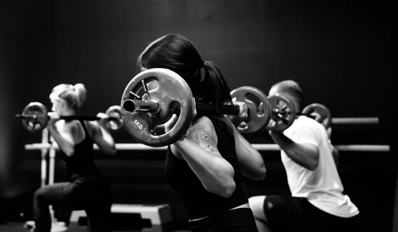 Programme Fondations — gymDB