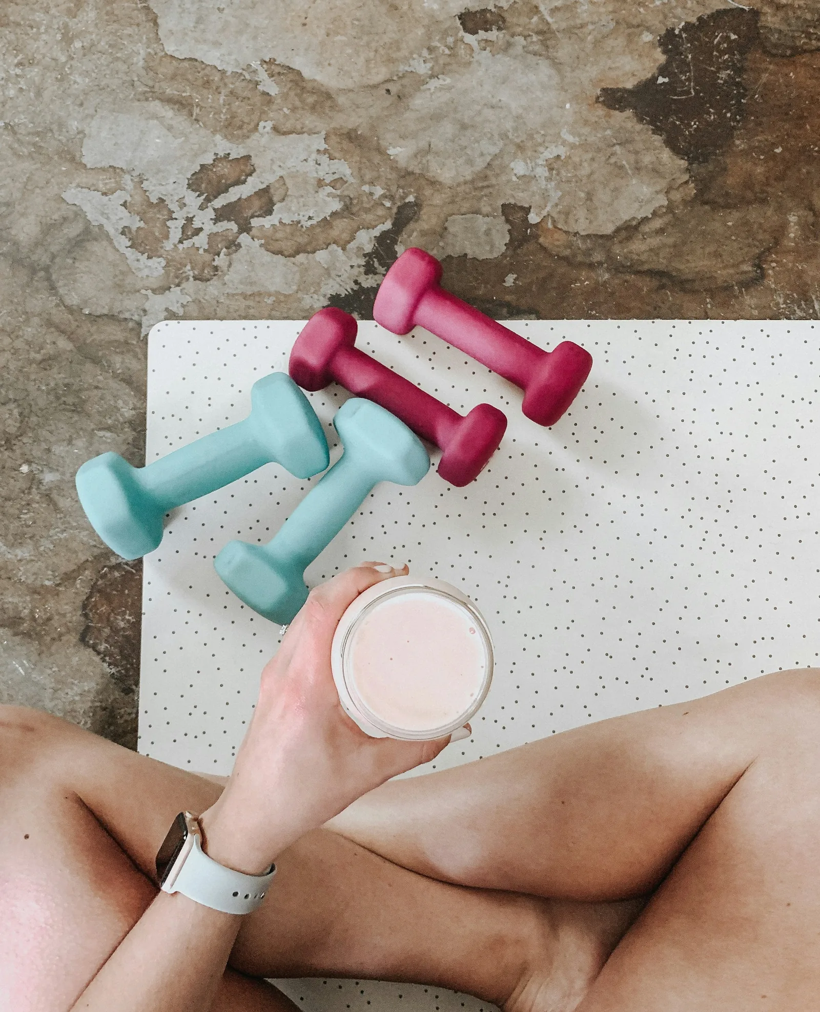 Programme Guide Nutrition — gymDB