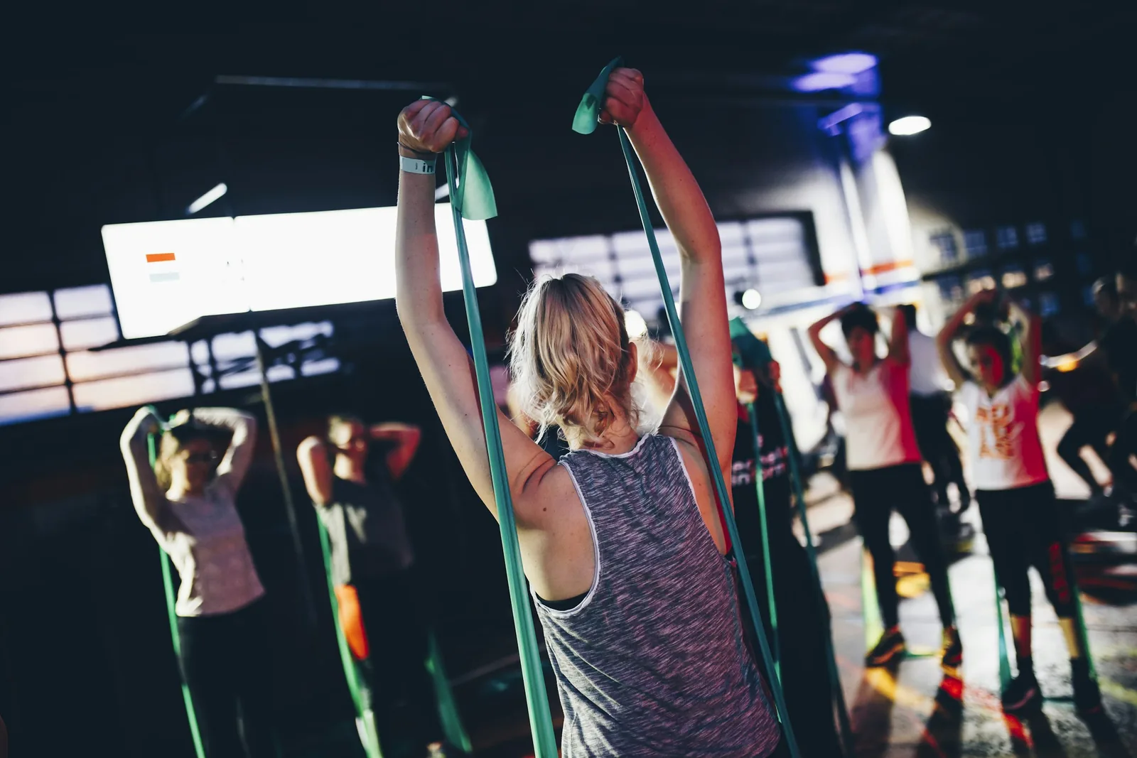 Programme Élastiques — gymDB