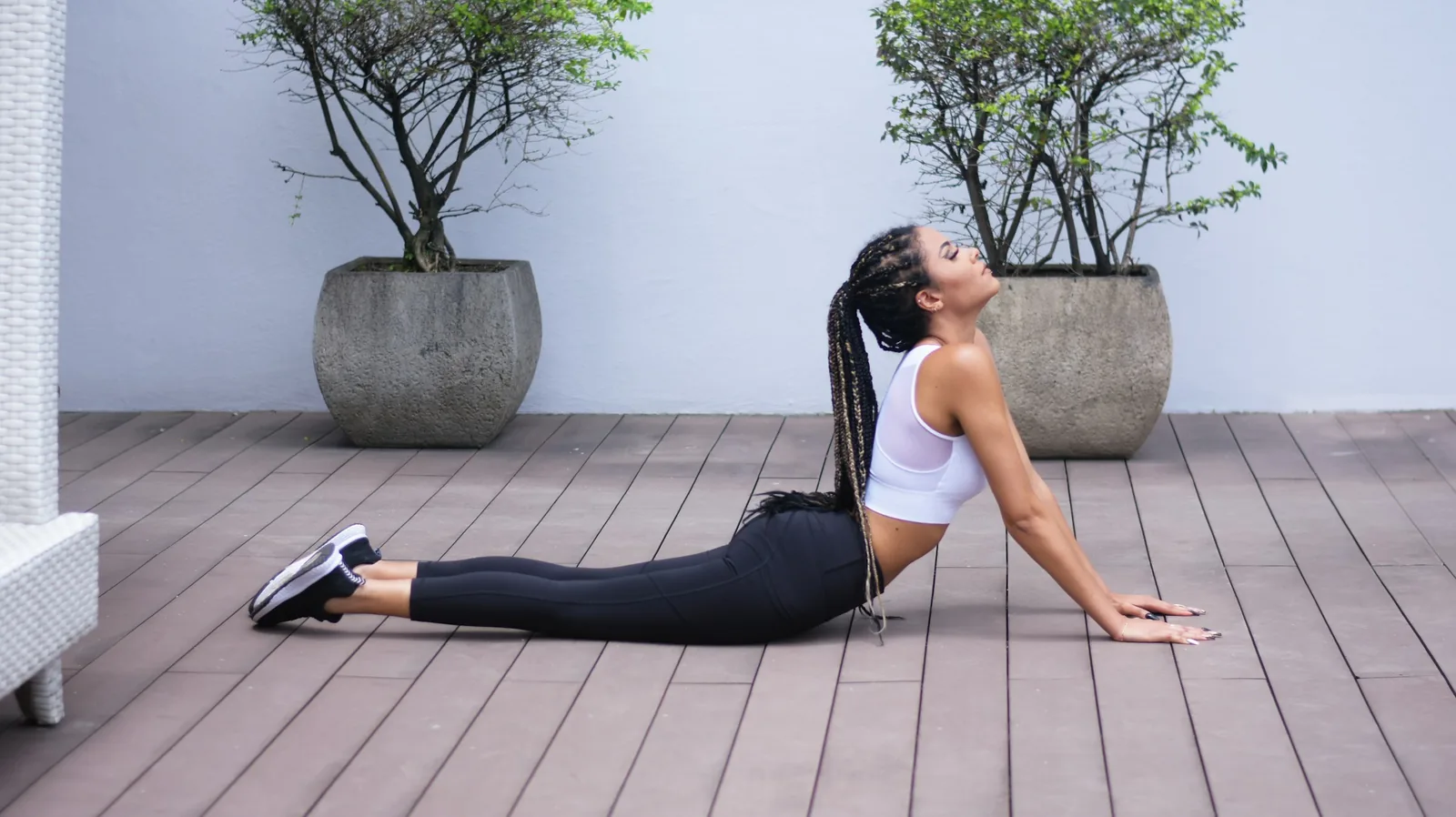 Programme Dos & Posture — gymDB