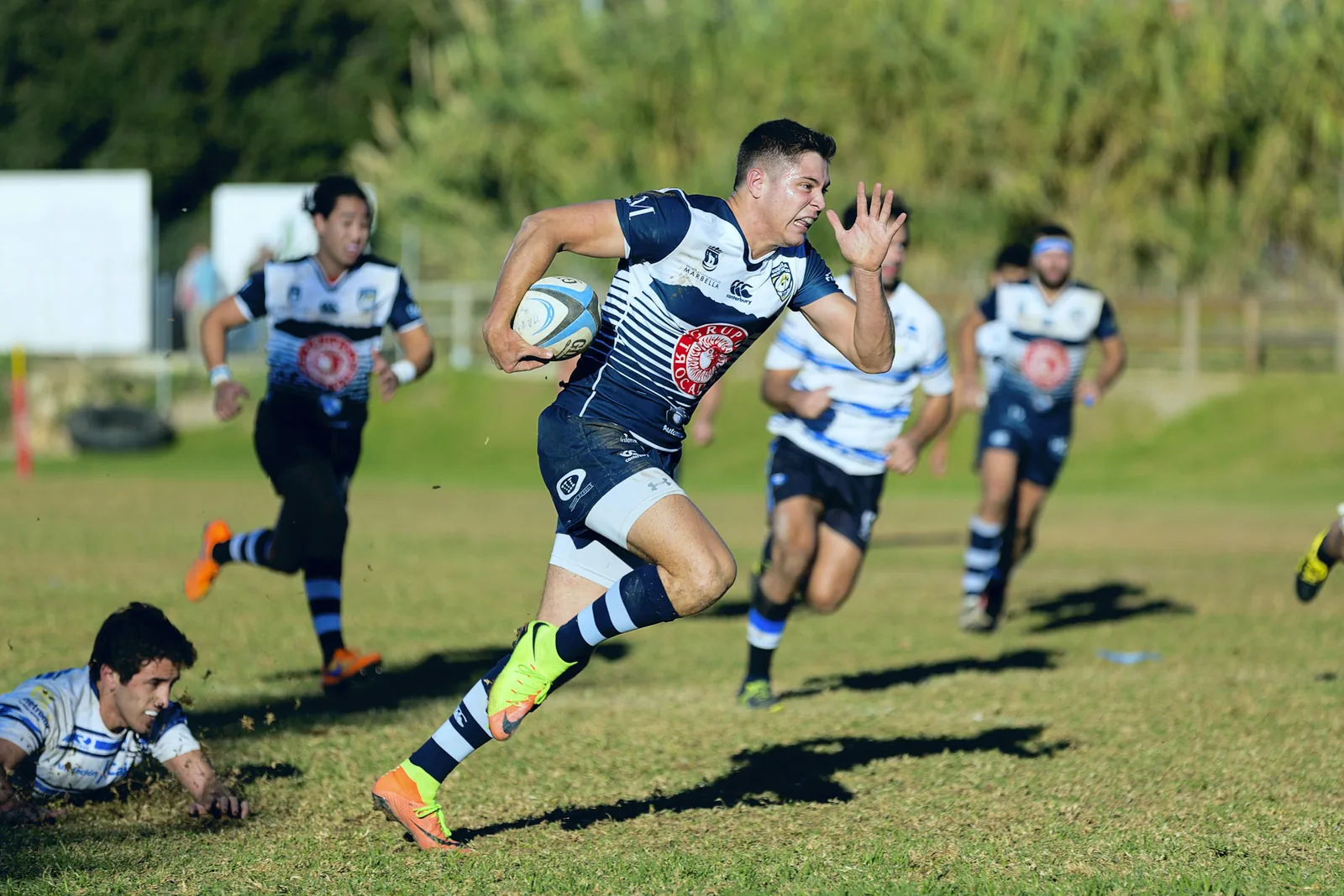 Programme In-Season Rugby — gymDB