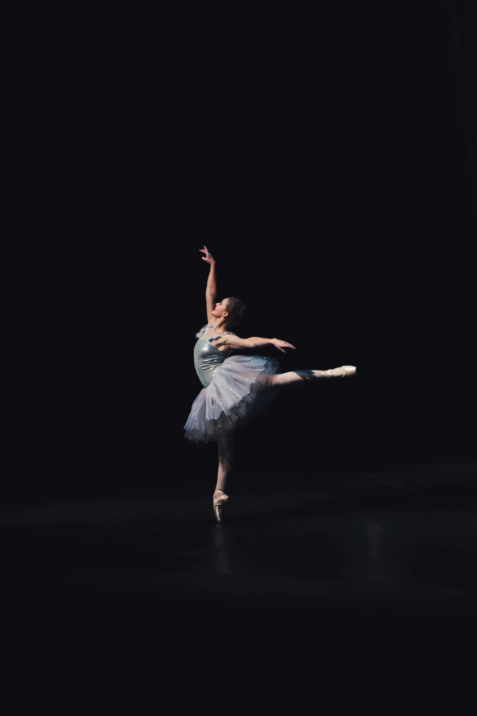 Programme Danse — gymDB