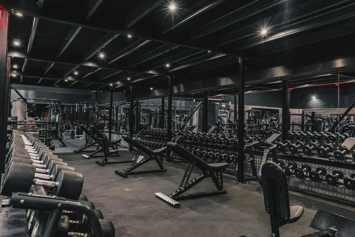 Plateau haltères et bancs dans une salle de musculation low-cost